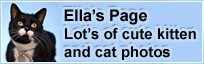 Ella's Page - Kitten photos and cat photos